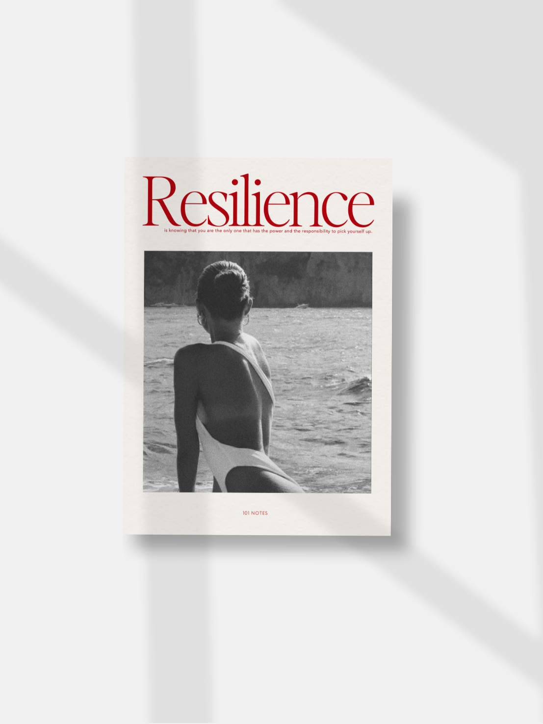 Resilience Matte Dashboard