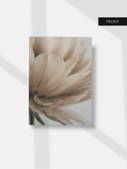 Pastel Matte Dashboard